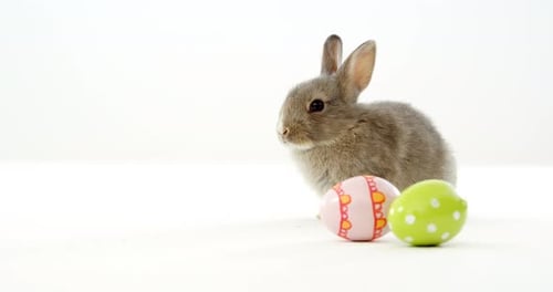 Easter eggs and Easter bunny