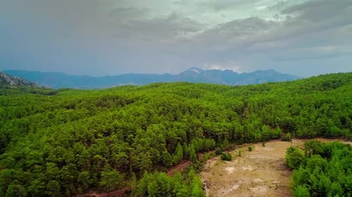 Aerial Forest view in Cloudy Weather (2K)