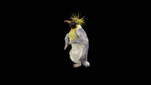 Penguin Dancing HD