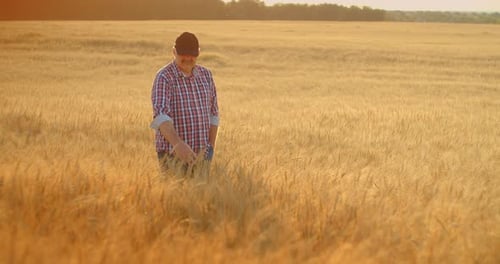 Farmer Walking Through Golden Wheat Field at Sunrise