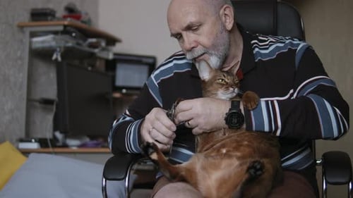 L'homme coupe les griffes de son animal de compagnie