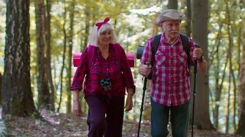 Elderly Couple Hiking Through a Sunny Forest