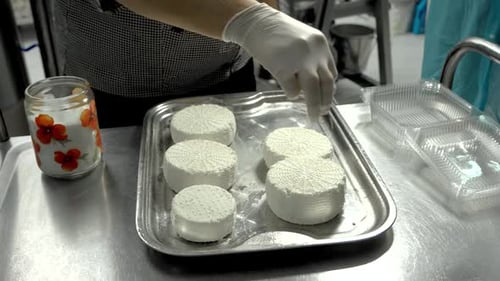 Woman Making Cheese From Sheeps Milk