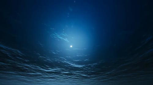 Under the Sea with Birds and the Moon