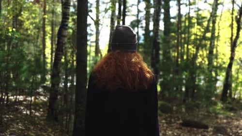 walk through the woods rear view of a walking man