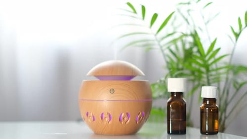 Essential Oil Diffuser with Green Plant