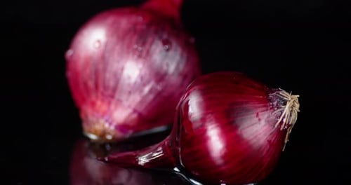 Vibrant Red Onions with Water Droplets on Black