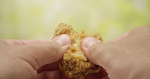 Hands Breaking Open Crispy Fried Chicken Drumstick