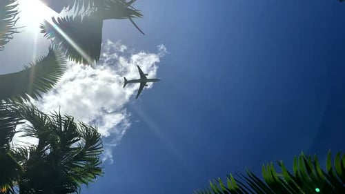 Overhead shot of big aircraft jet flying over,static silhouette