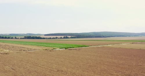 Golden Fields and Rural Landscape Aerial