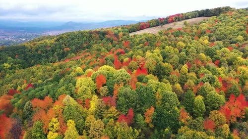 Surreale Herbstfarben
