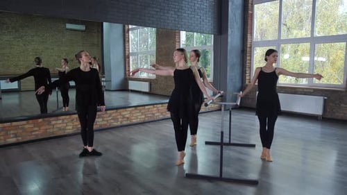 Ballet Dancers Practicing Plies at Barre in Studio