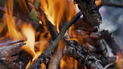 Glut zum Grillen vorbereiten, Steakgrillen im Freien bei Bonfire im Freien