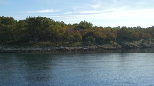 Green Trees on Rocky Coast Under Blue Sky