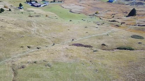 Aerial drone view of a mountain biker on a singletrack trail.