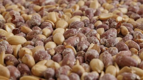 Slow tilt over roasted peanuts on white background 4K 2160p 30fps UltraHD footage - Tasty snack Arac
