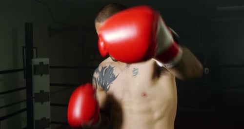Shirtless Boxer Punching with Red Boxing Gloves