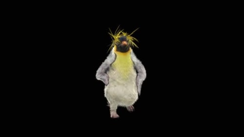 Penguin Dancing HD