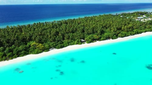 Aerial drone shot scenery of exotic coast beach wildlife by blue water with white sandy background o