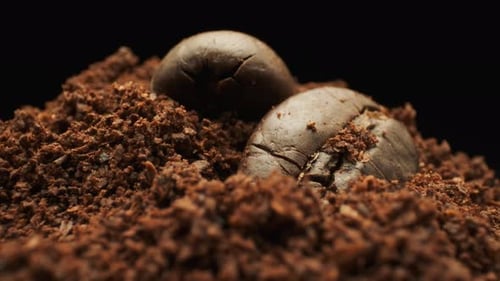 Ganze Kaffeebohnen und gemahlenen Kaffee