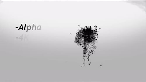 Fluid Ink Splatter Reveal Animation Alpha Channel