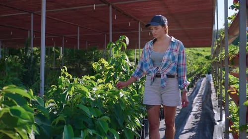 Agronomist in the Nursery Garden with Decorative Plants