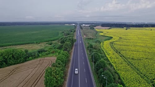 Car Riding on the Highway Through the Forest on Countryside