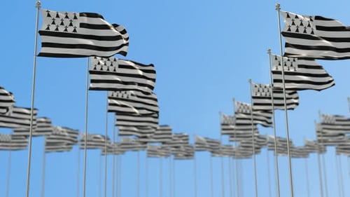 Numerous Flags Waving Against a Clear Blue Sky Animation