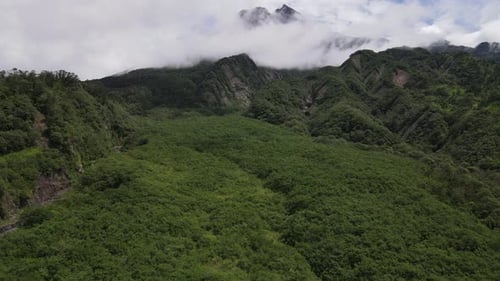 Luftaufnahme des Fliegens in einem tropischen Wald, Berg und Tal in Indonesien.