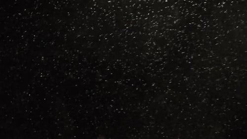 Es schneit