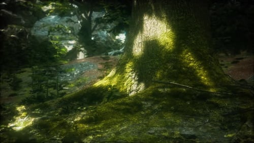 Tree with Moss on Roots in a Green Forest