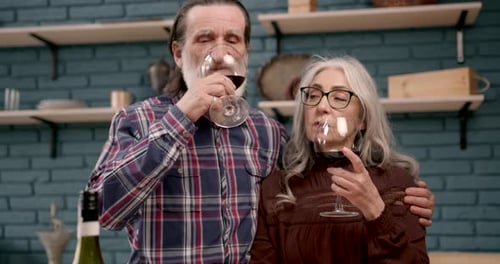 Senior Couple Drinking Wine Together in Kitchen
