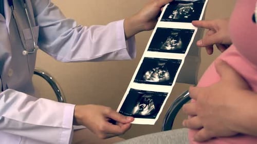 Pregnant Woman and Gynecologist Doctor at Hospital