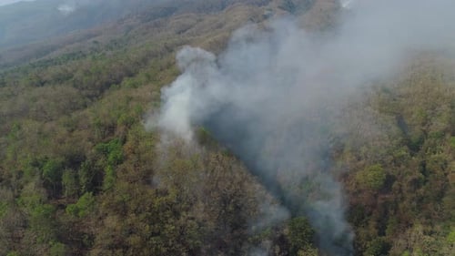 Forest Fire in the Mountains