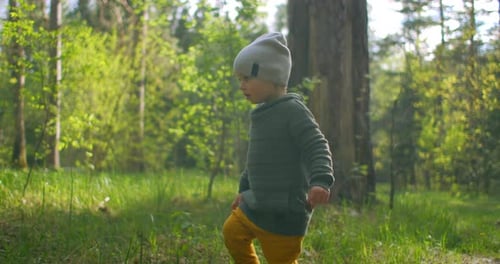 A 2-Year-old Caucasian Boy Walks in Slow Motion Along Forest Paths in a Pine Forest