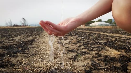Water Drops Falling on Human Hand in a in an Arid Field