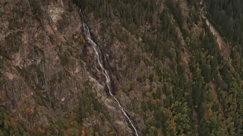 Side of a Mountain with Tall Fir Trees and a Small Body of Waterfall