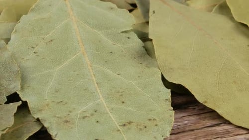 Dried bay leaves texture