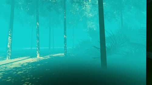 Jungle At Fog Time