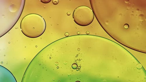 Abstract Liquid Bubbles Merging in Green, Yellow, and Orange