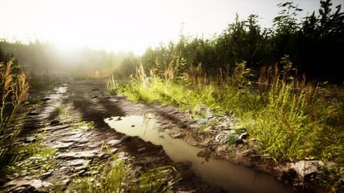 Dirt Country Road in the Field in Autumn on a Sunny Day