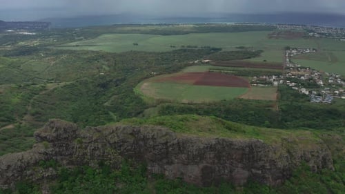 Aerial View Over Round Fields of Sugarcane on the Island of Mauritius