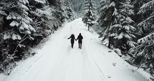 Ein Spaziergang von zwei verliebten Menschen auf der Straße zwischen den hohen, schneebedeckten Weihnachtsbäumen