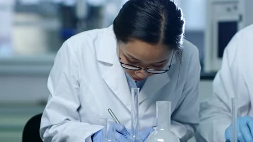 Female Scientist Working in Laboratory