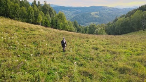Aerial Fly Elderly Man with a Backpack and Sticks Walk Along the Mountain Trails