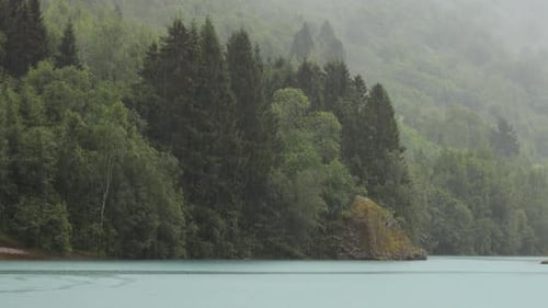 Regen über dem Wald Schöne Natur Norwegen
