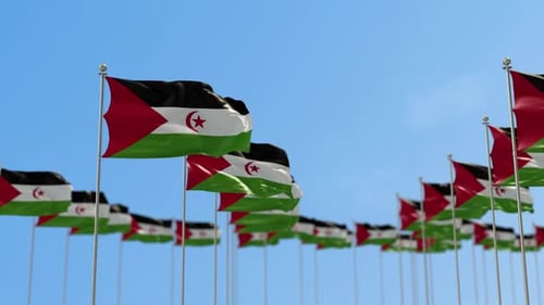 Western Sahara Flags Waving Fluidly in Blue Sky