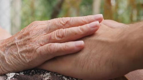 Senior and Young Adult Hands Holding Tenderly