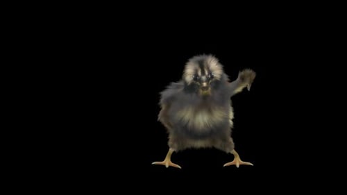 28 Baby Chicks Dancing HD
