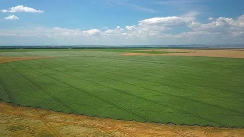 Cultivo e colheita de safras agrícolas, tiro aéreo
